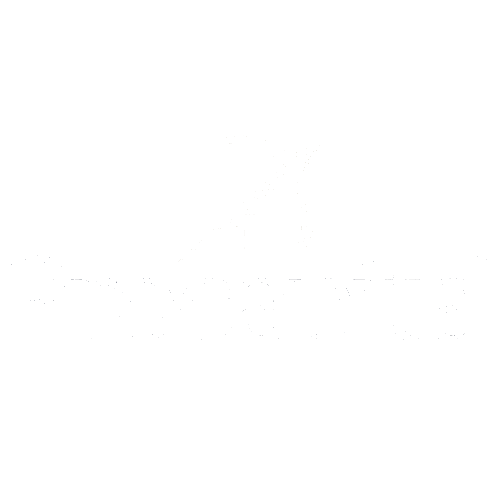 Logo Procapital